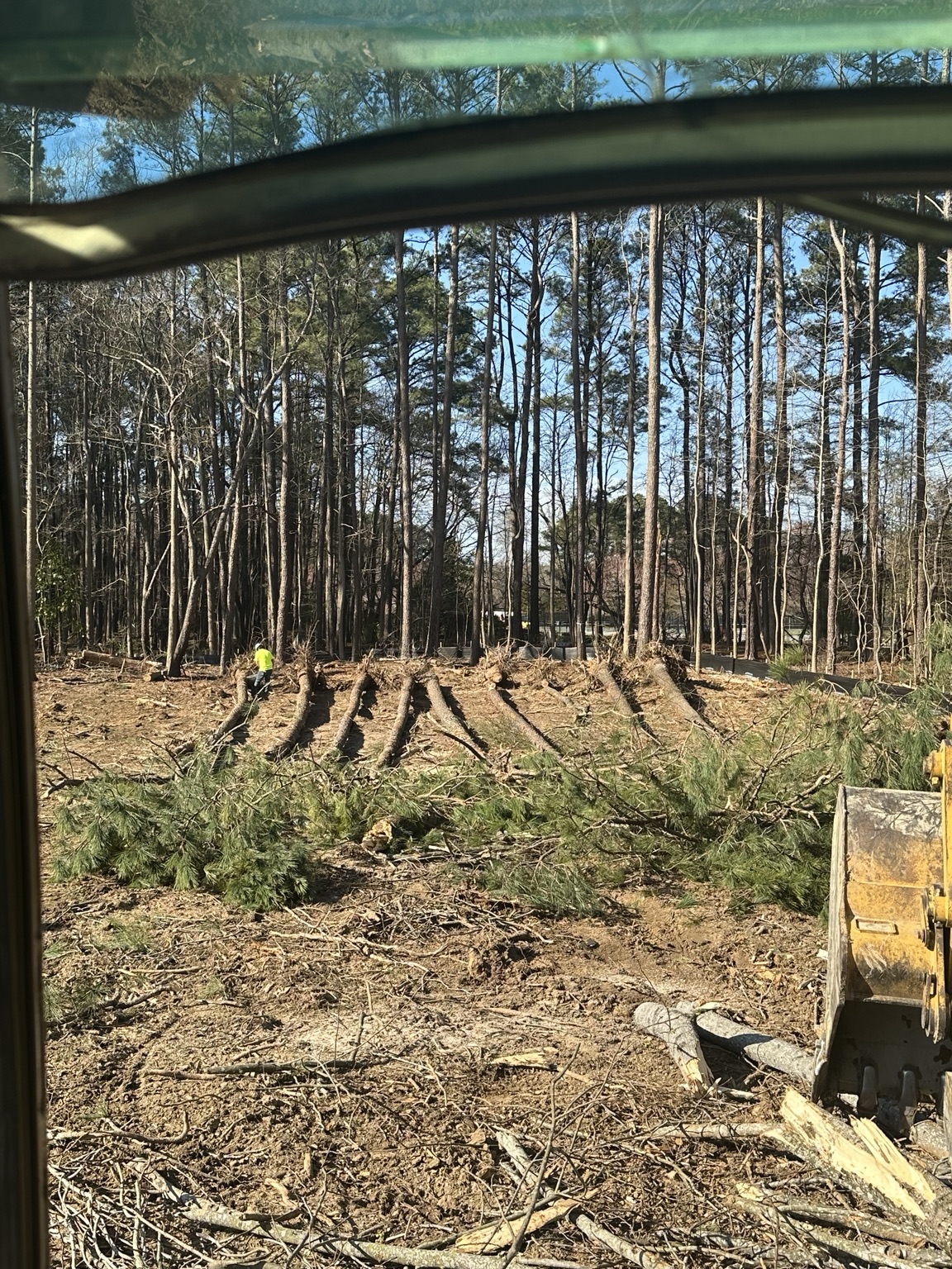 Wooded property being cleared and prepared for site work